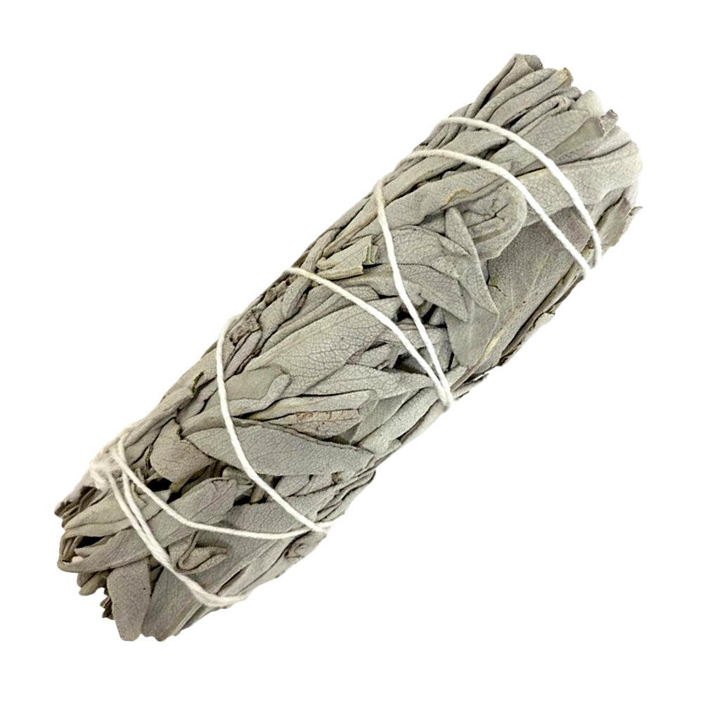California White Sage Stick 5"-6"