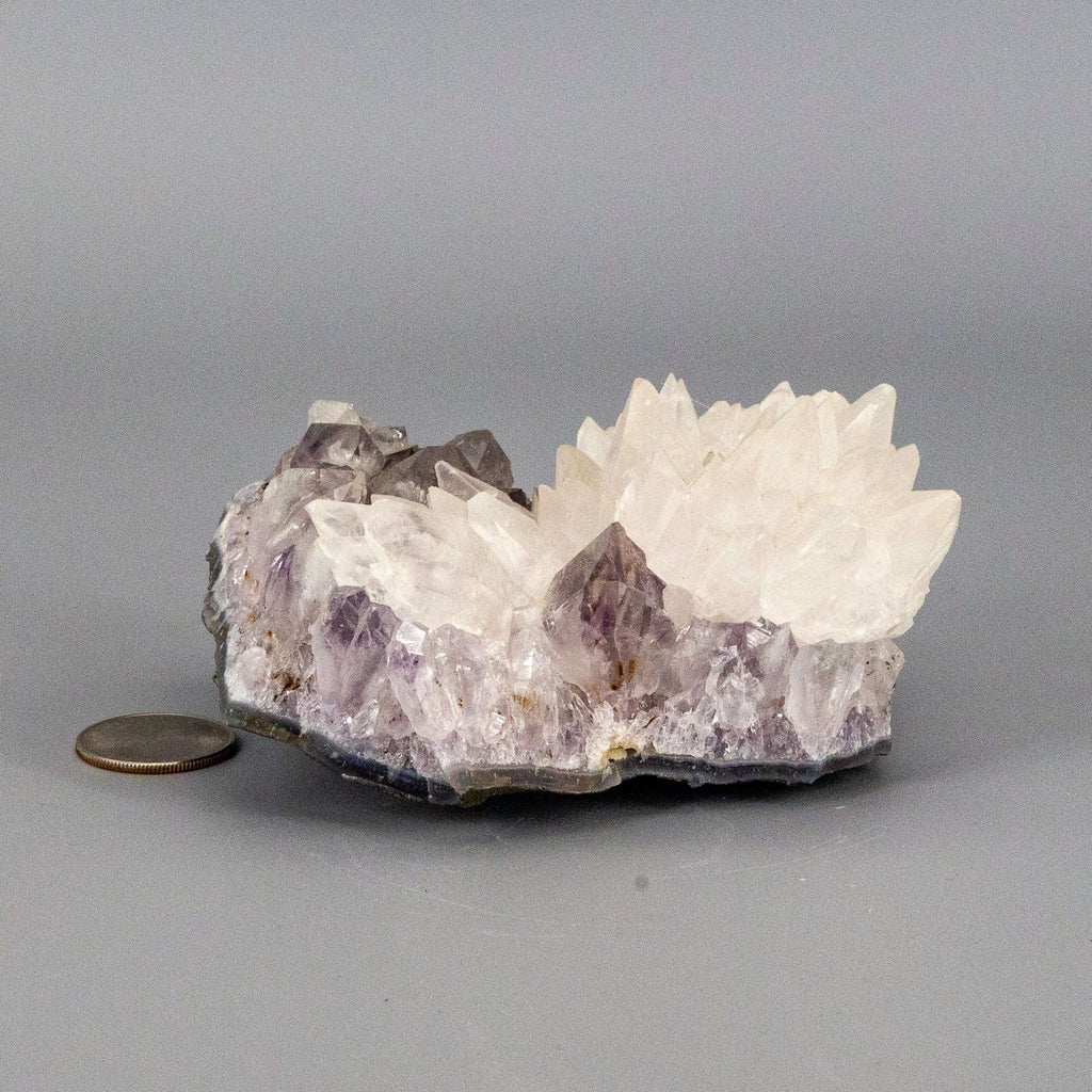Dogtooth Calcite "Flower" Amethyst Cluster
