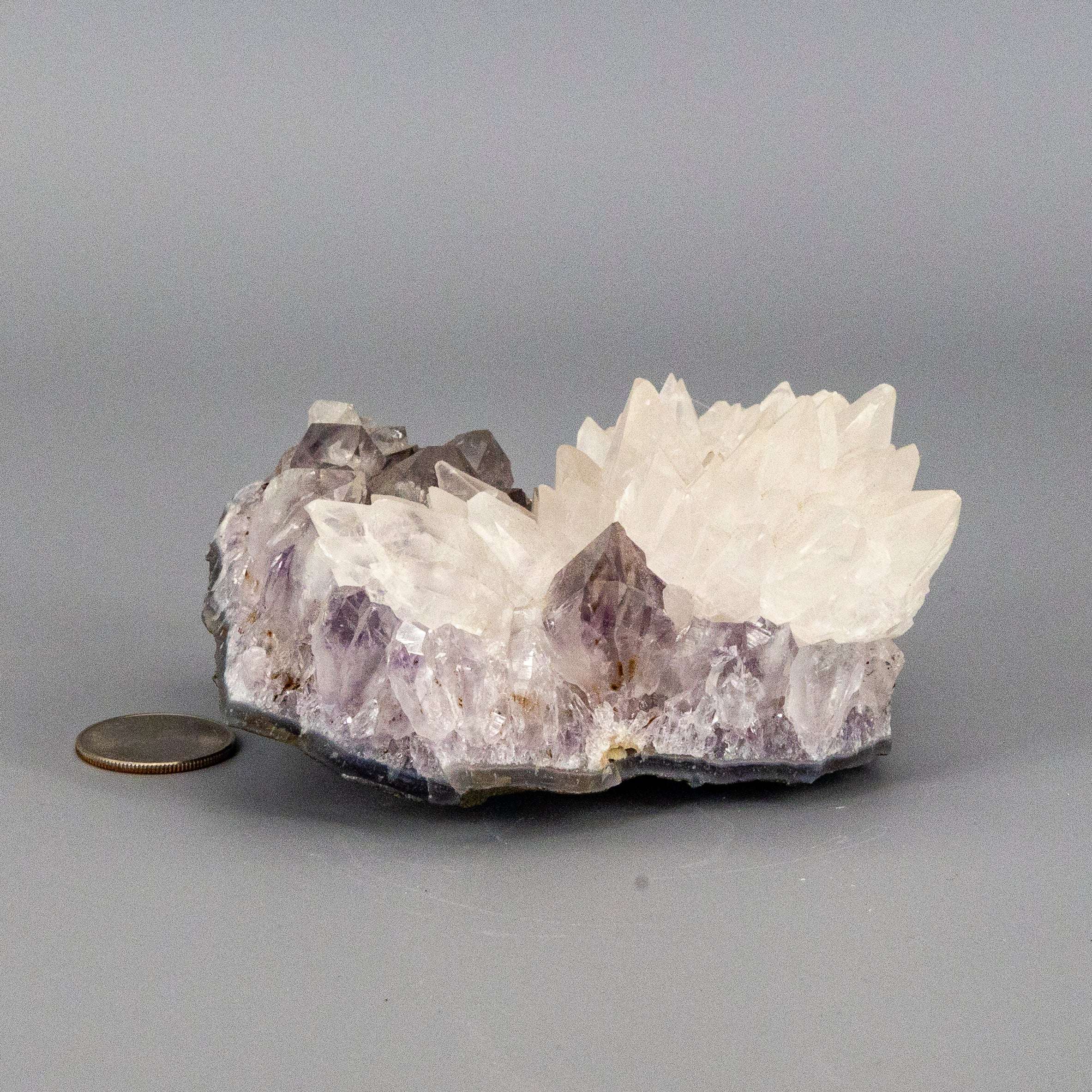 Dogtooth Calcite "Flower" Amethyst Cluster