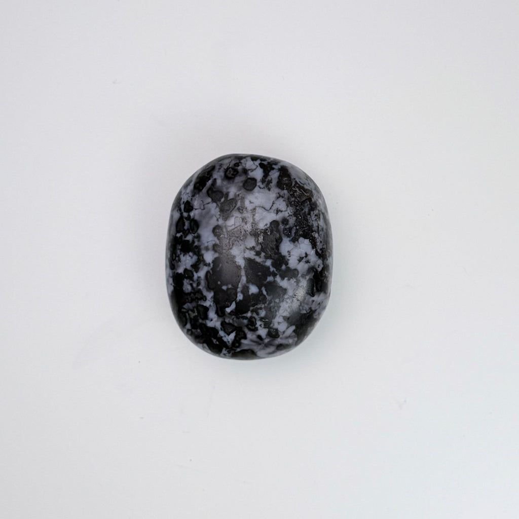 Indigo Gabbro