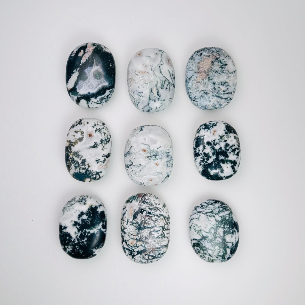 Tree Agate