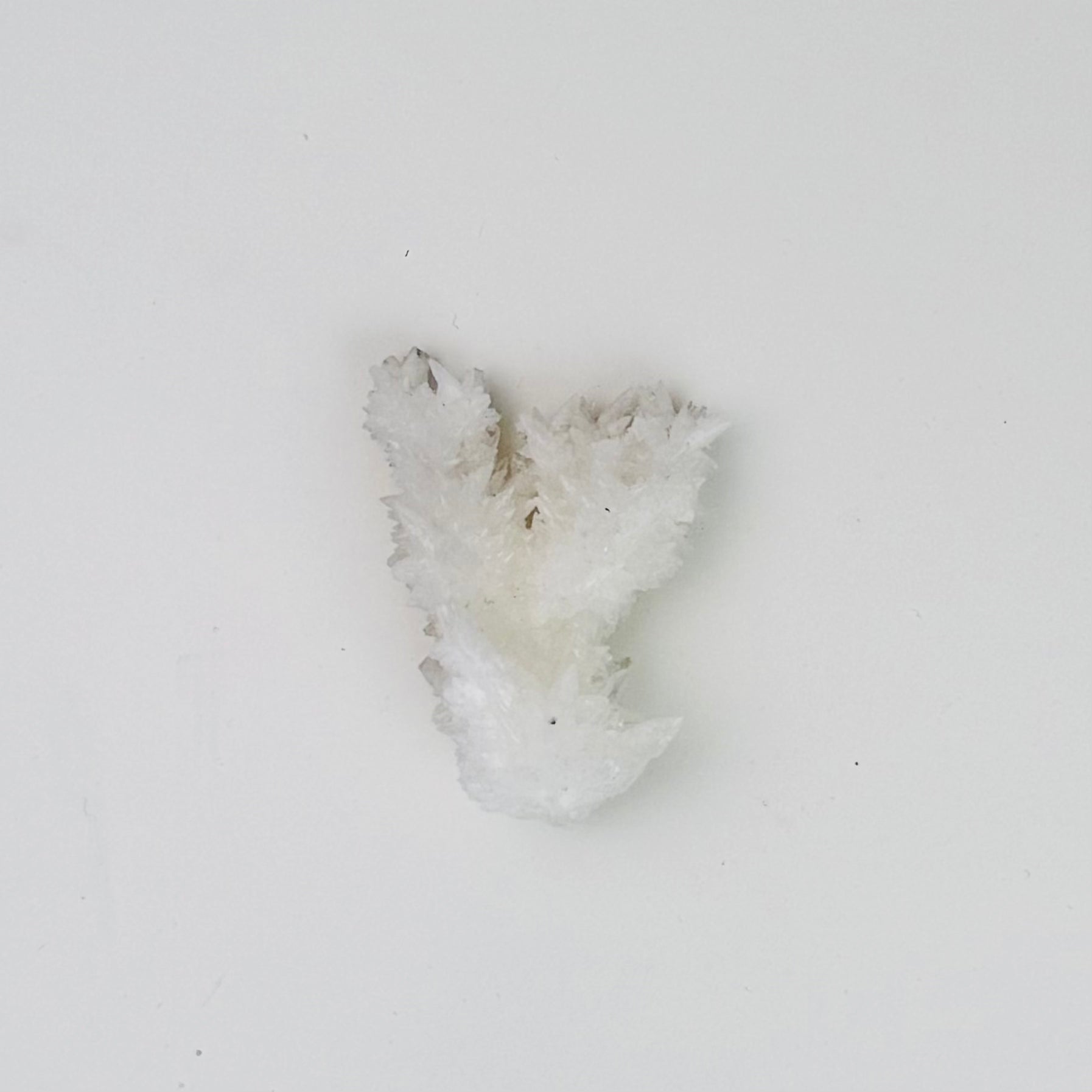 White Aragonite