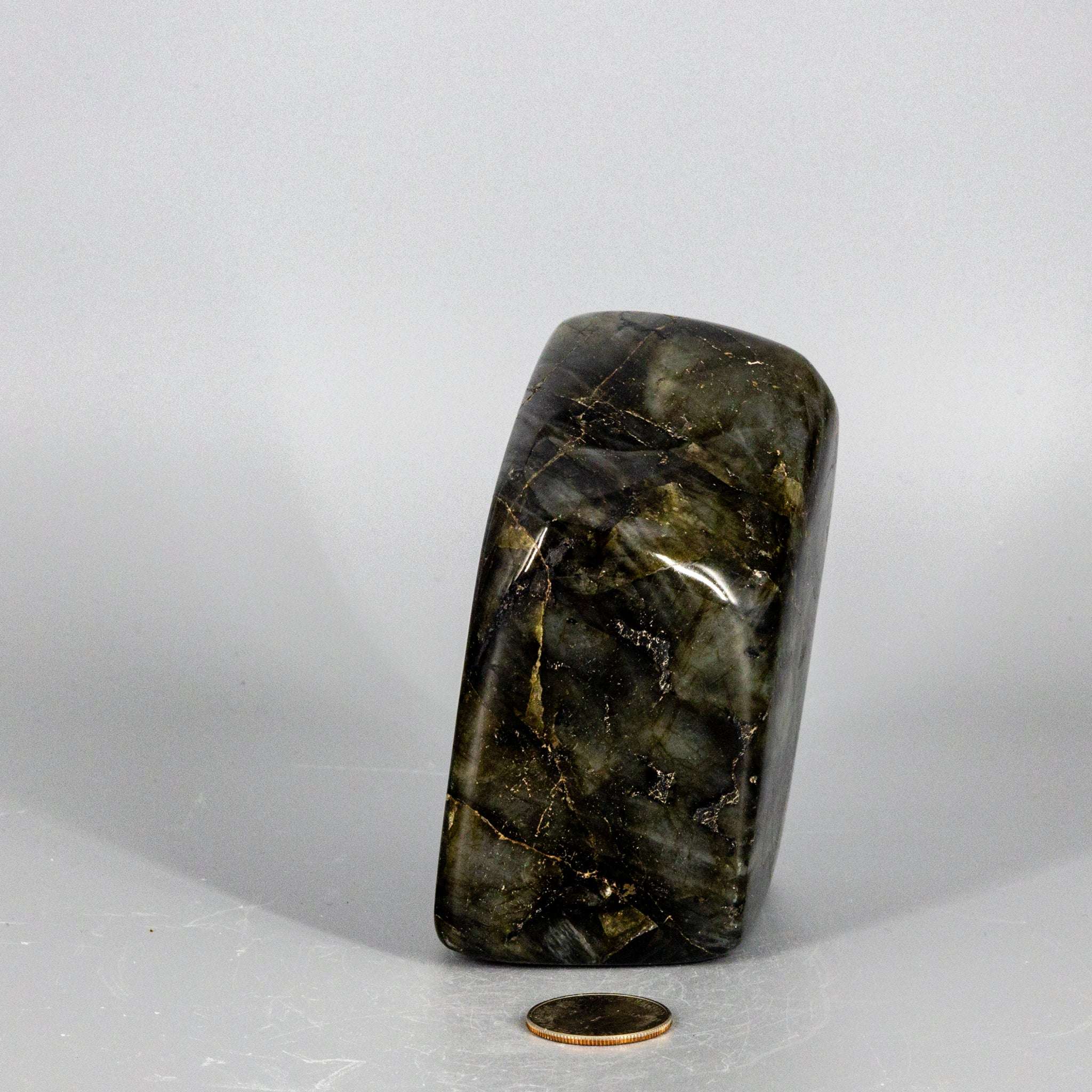 Labradorite "XL" High Flash Freeform