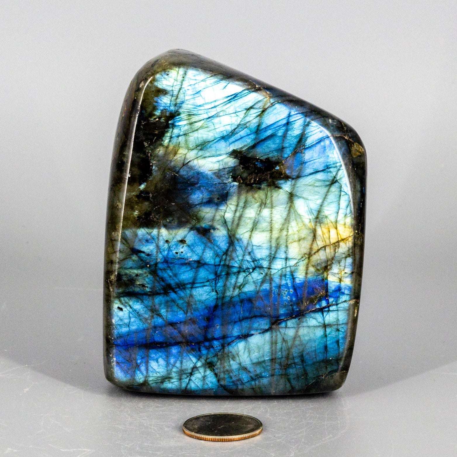 Labradorite "XL" High Flash Freeform