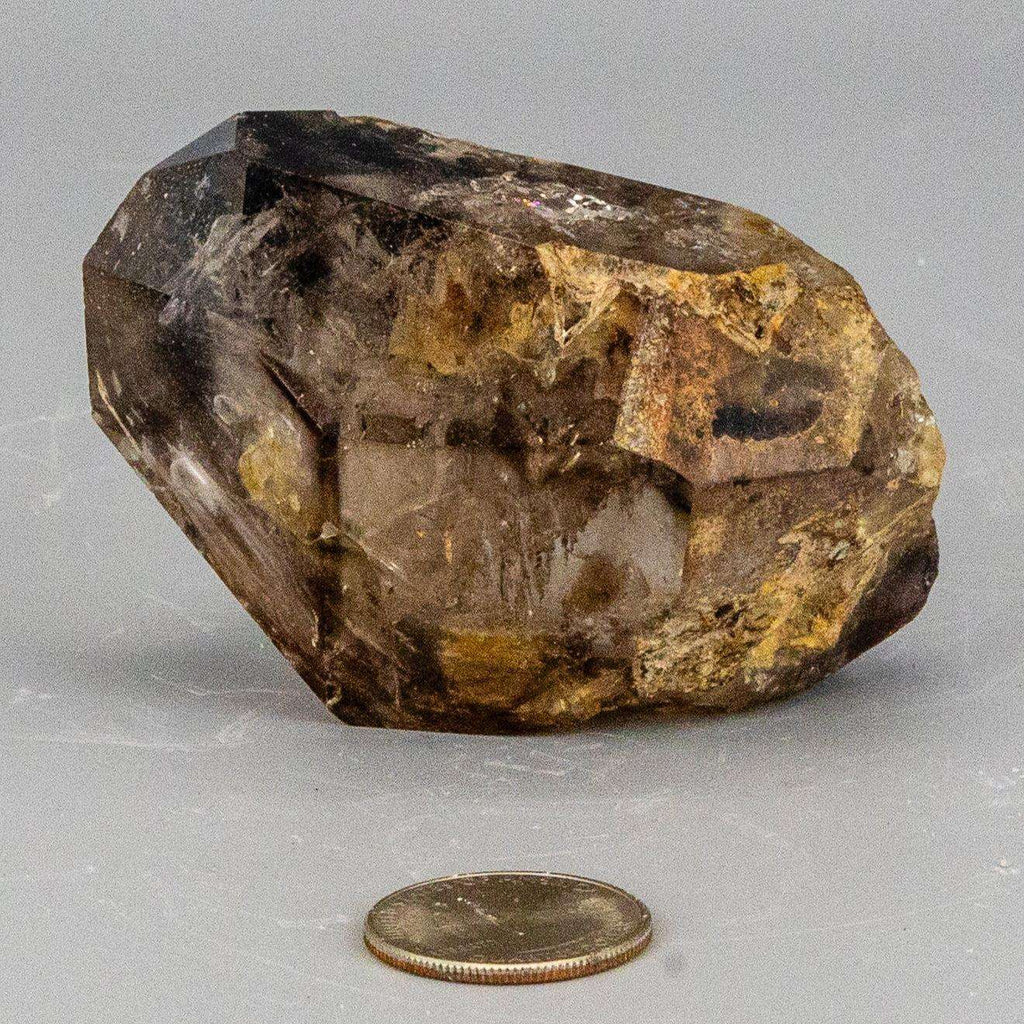 Skeletal Elestial Smoky Quartz Enhydro