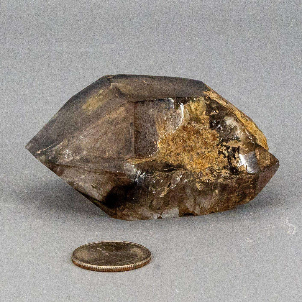 Skeletal Elestial Smoky Quartz Enhydro