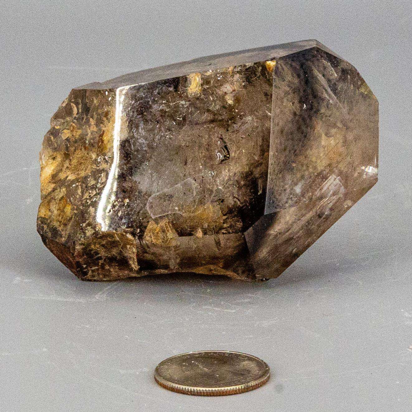 Skeletal Elestial Smoky Quartz Enhydro