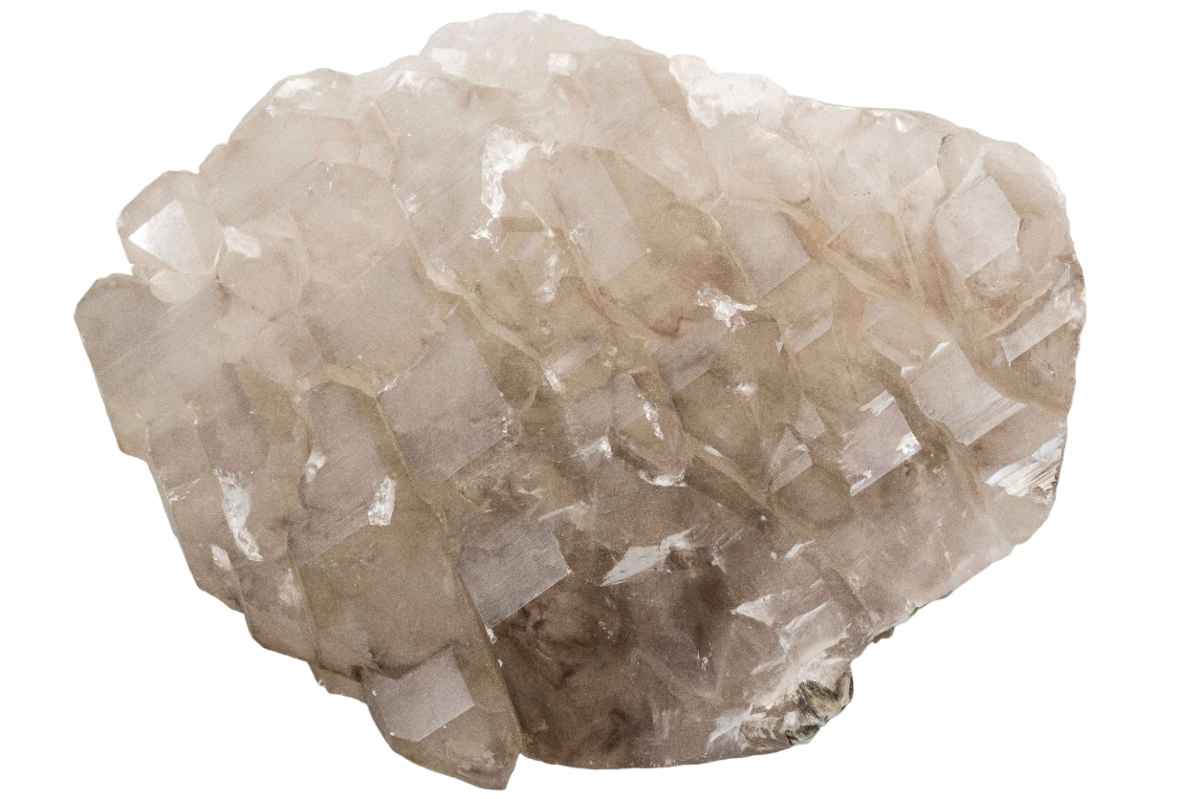 Smoky Quartz "Gator Back Style" Cluster XXL